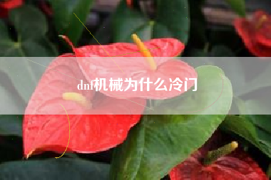 dnf机械为什么冷门