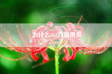 为什么dnf力量很低