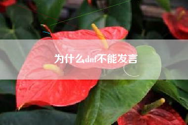 为什么dnf不能发言