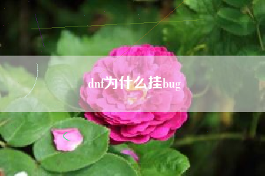dnf为什么挂bug
