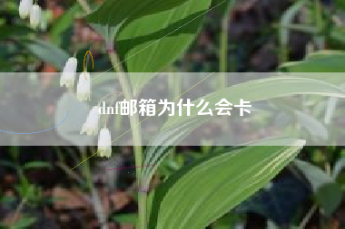 dnf邮箱为什么会卡