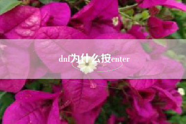 dnf为什么按enter