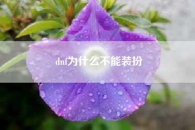 dnf为什么不能装扮