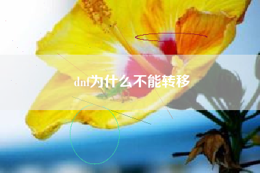 dnf为什么不能转移