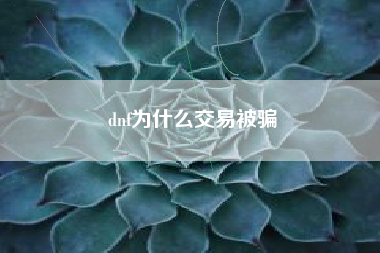 dnf为什么交易被骗