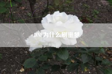 DNF为什么刷噩梦