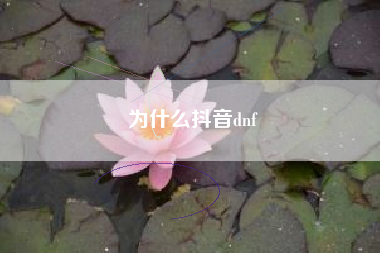 为什么抖音dnf