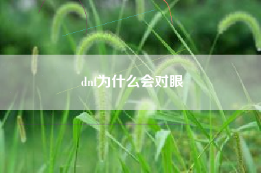 dnf为什么会对眼