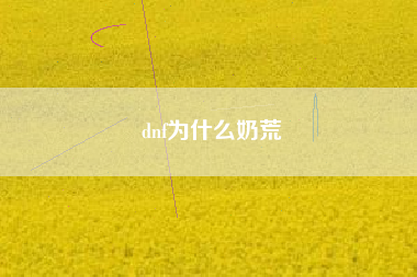 dnf为什么奶荒