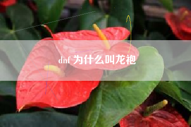 dnf 为什么叫龙袍