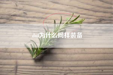 dnf为什么同样装备