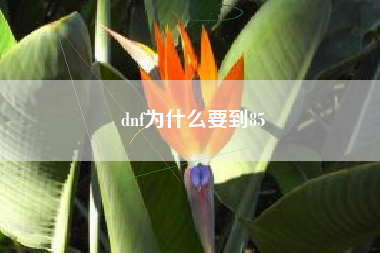 dnf为什么要到85