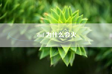 dnf 为什么会火