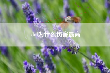 dnf为什么伤害最高