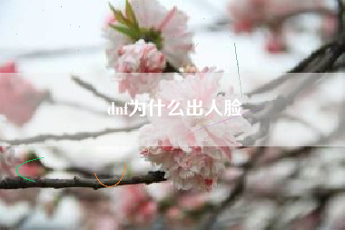 dnf为什么出人脸