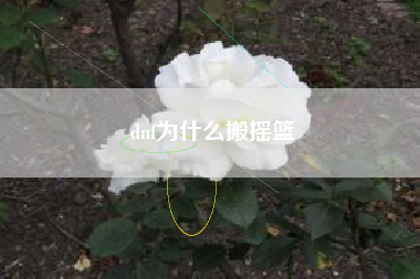 dnf为什么搬摇篮