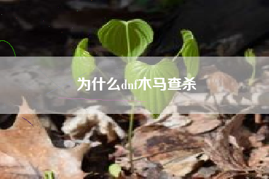 为什么dnf木马查杀