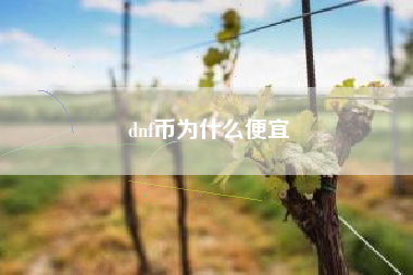 dnf币为什么便宜