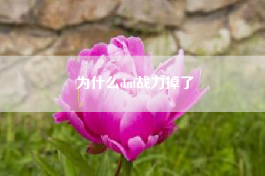 为什么dnf战力掉了
