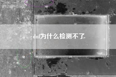 dnf为什么检测不了