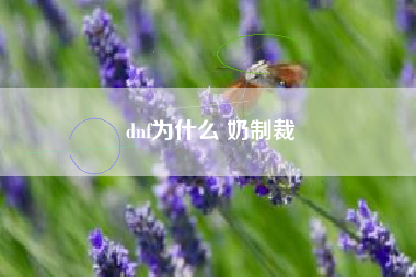 dnf为什么 奶制裁