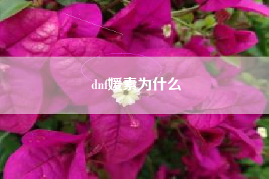 dnf媛素为什么