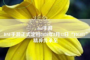 dnf手游 
DNF手游正式定档2020年8月12日“FIGHT”精神传承至
