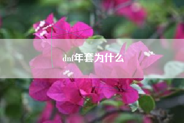 dnf年套为什么