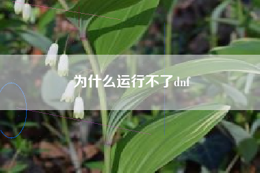 为什么运行不了dnf