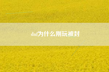 dnf为什么刚玩被封