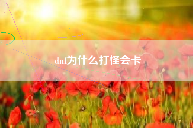 dnf为什么打怪会卡