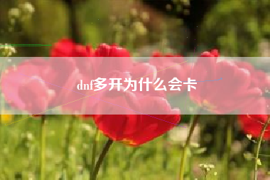 dnf多开为什么会卡