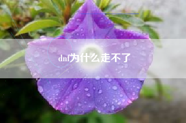 dnf为什么走不了