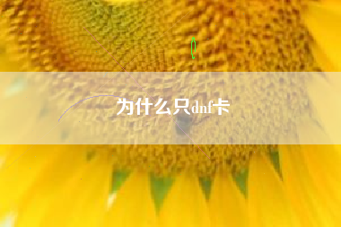 为什么只dnf卡