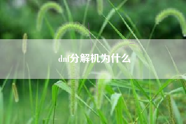 dnf分解机为什么