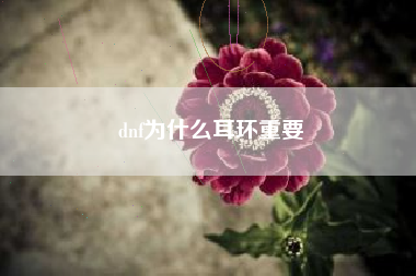 dnf为什么耳环重要