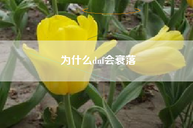 为什么dnf会衰落