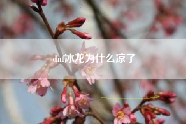 dnf冰龙为什么凉了
