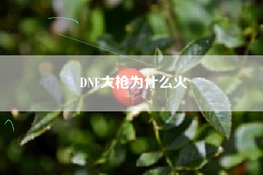 DNF大枪为什么火