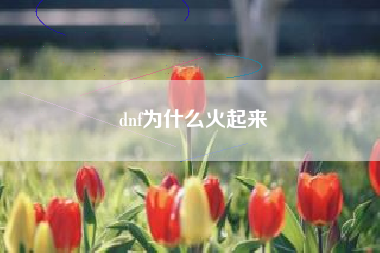 dnf为什么火起来