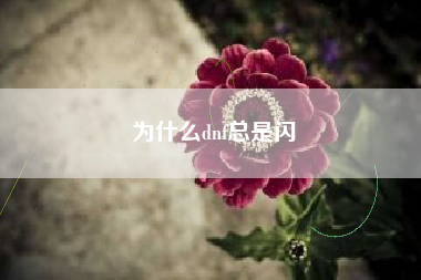 为什么dnf总是闪
