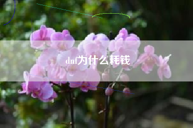 dnf为什么耗钱