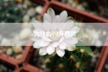 为什么dnf穿西装