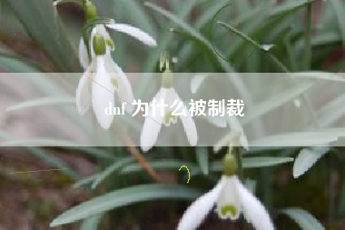 dnf 为什么被制裁