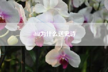 dnf为什么送史诗