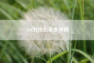 dnf为什么老是弹掉