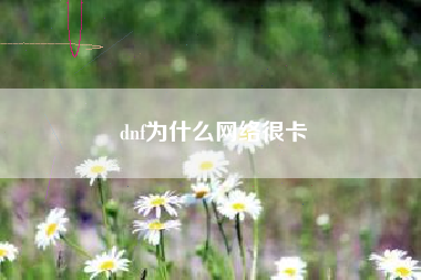 dnf为什么网络很卡