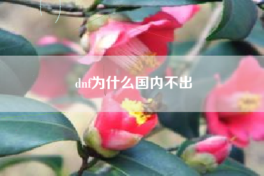 dnf为什么国内不出
