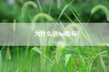 为什么进dnf图标