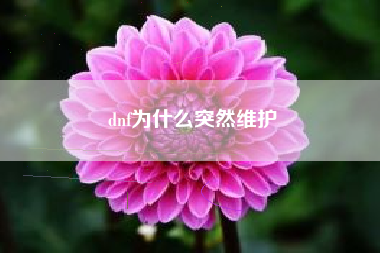 dnf为什么突然维护